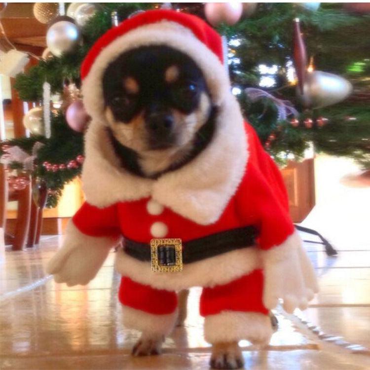 Santa Pet Costume