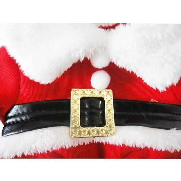 Santa Pet Costume