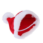 Santa Pet Costume